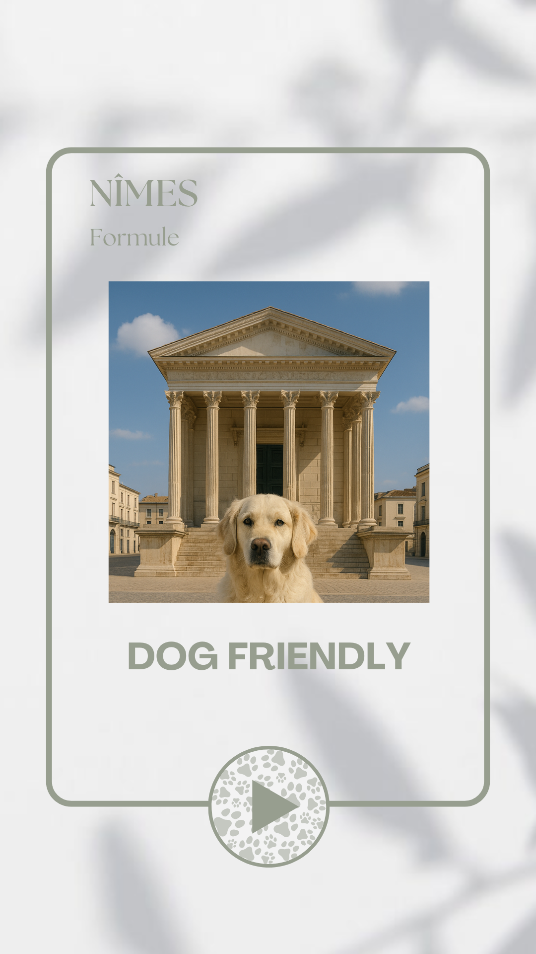 Nîmes - Dog Friendly - Français